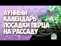 Лунный календарь посадки перца на рассаду в марте 2021 года