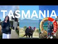 Tasmania travel vlog 2024   best things to do hobart mona east coast devils restaurants  4k