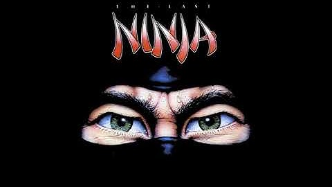 Last Ninja 1 - 05 - Load Palace Garden