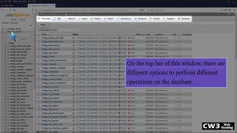 How to export database table via phpMyAdmin in cPanel with The CW3 Web Hosting