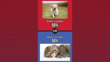 What would you rather? Part 27  #shotrs