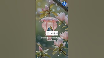 سورة قريش #الله #القرآن #فيروسي #فيديو فيروسي #فيديو فيروسي على يوتيوب #فيديو رائج #سورة قرىش