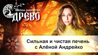 Сильная и чистая печень