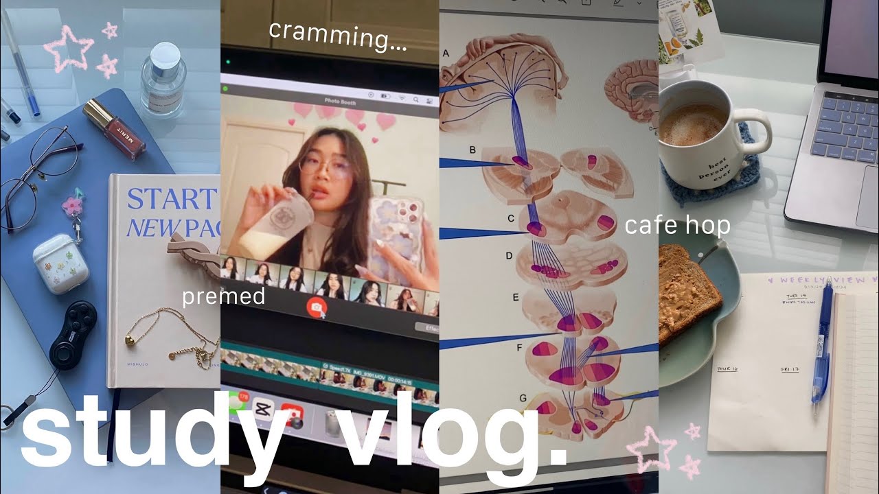 24 HOUR STUDY VLOG ⋆˚꩜｡ intense cramming, tips for long focus sessions, library & cafe hop 👩🏻‍💻☕️