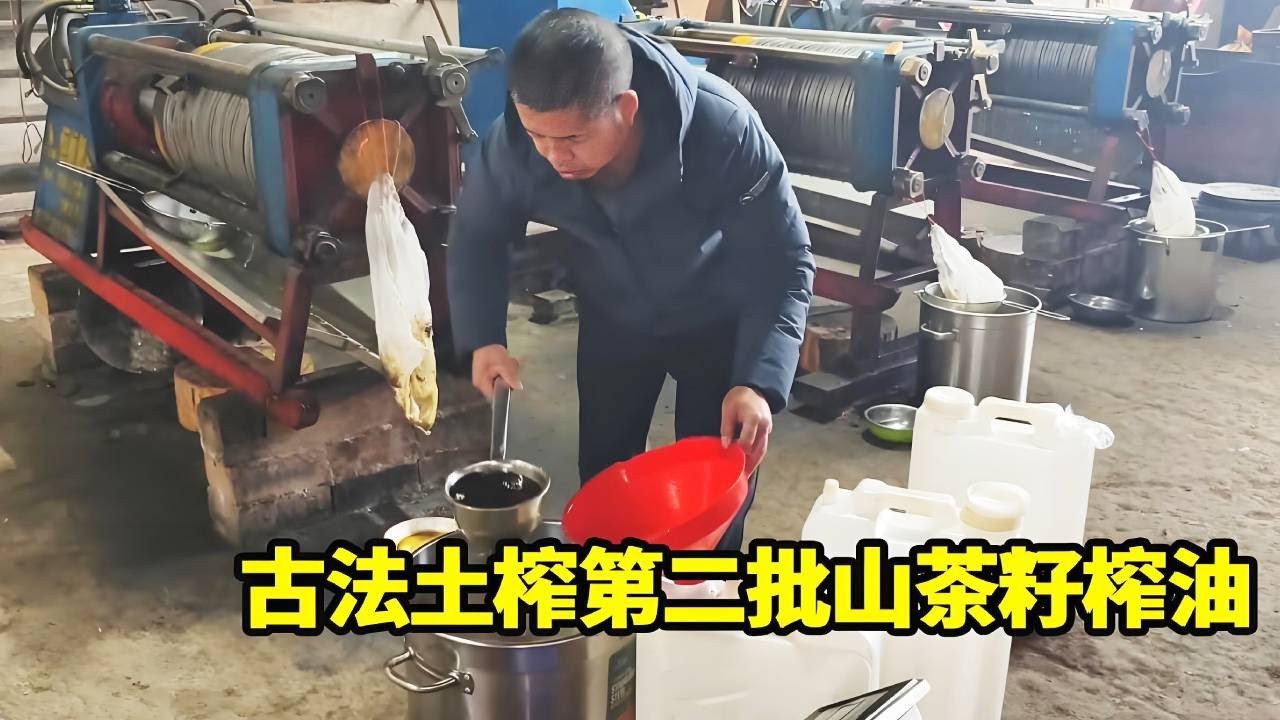 老罗要去将第二批山茶籽榨油了，用最原始的古法土榨，榨出来的油色泽金黄香气扑鼻！！【侗家老罗】