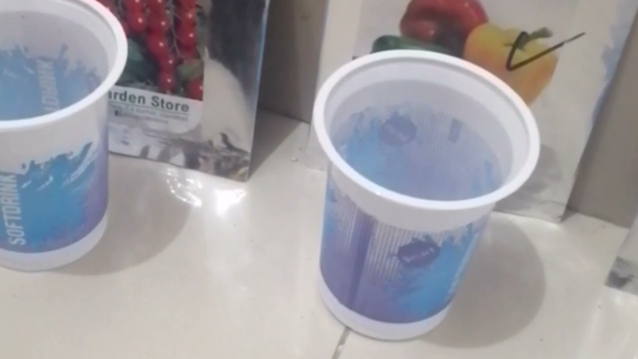 Buying Seeds online in Pakistan? Fake or not?| Rainbow Rose Exist?| EP-01