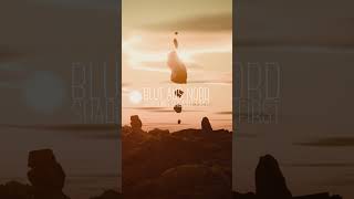Blut Aus Nord - Shadows Breathe First (Trailer) #youtubeshorts #blutausnord #blackmetal