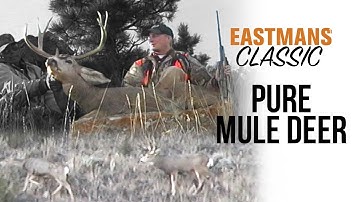 Pure Mule Deer - Montana Deer Hunting with Guy Eastman