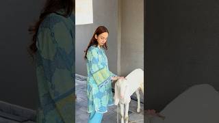 Maryam Asjad Mini Vlog Day 4😍 #rajabfamily #youtubeshorts #shorts #shortsfeed #shortsviral
