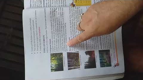 Class-4 Social Science, Chapter-7 (Forest and wild animals).