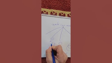 4 قصص مفيدة في سورة الكهف