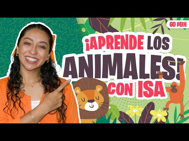 Aprende Peque con Isa - Los Animales para Niños Español- Palabras y Canciones class=