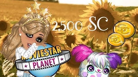 50 PET ROOMS IN MSP (2500 SC FREE)