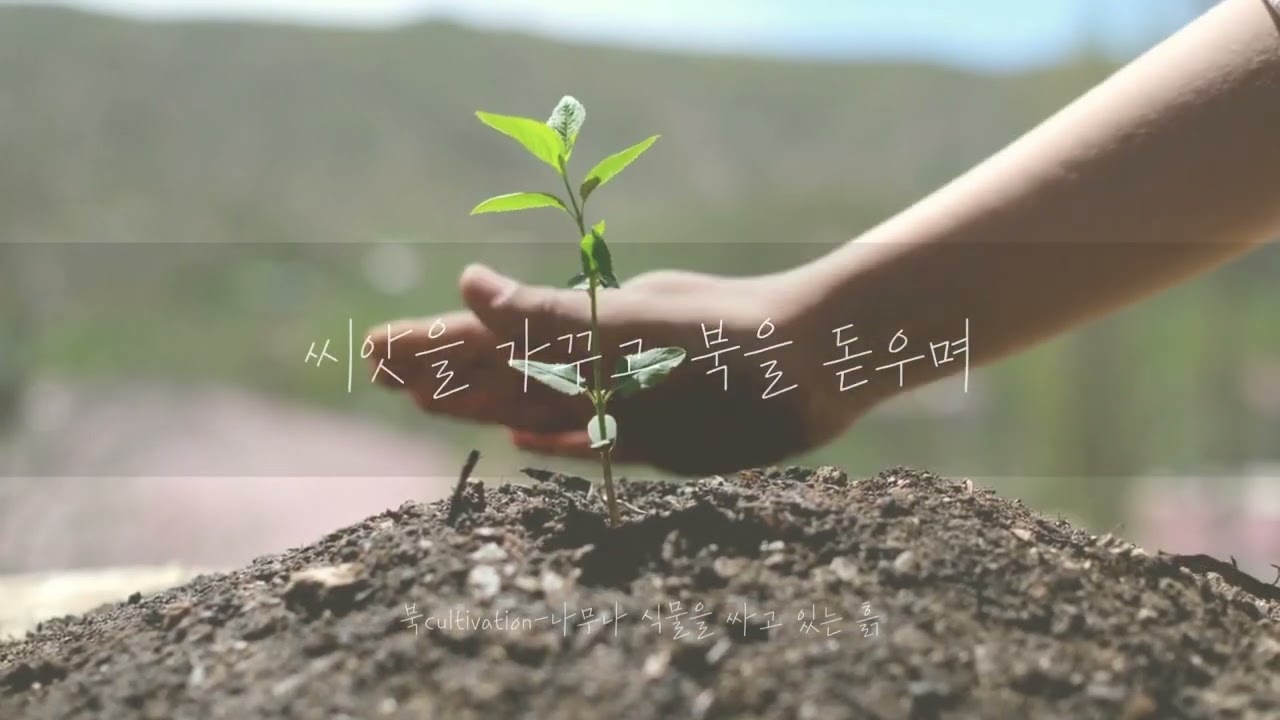 모든 교사는 경이롭습니다