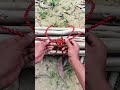 Adam Rose React Viral Videos part 18 tips #hacks #lifehacks