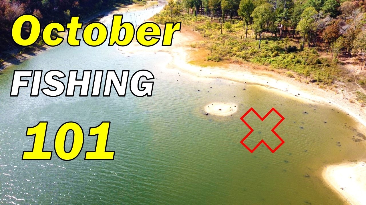 The TOP BAITS For October Bass Fishing