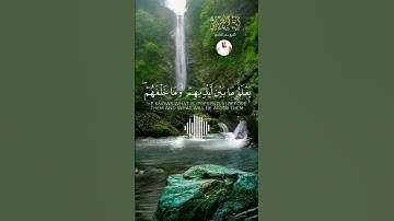 آية الكرسي من سورة البقرة بصوت الشيخ سعد الغامدي