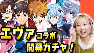 【白猫エヴァコラボ】開幕ガチャ！ありえない…何が起きてるんだ…。【エヴァンゲリオン】