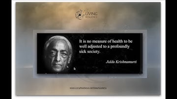 The Stages of Awareness: Consciously Facing Collapse and Predicament