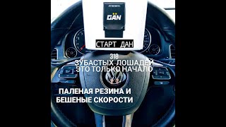 чип тюнинг TOUAREG NF 3.6 (VR6 FSI) - прошивка на 249/280/300 л.с СТАРТ проекта &quot;ИЗГОЙ ИДЁТ В БОЙ&quot;