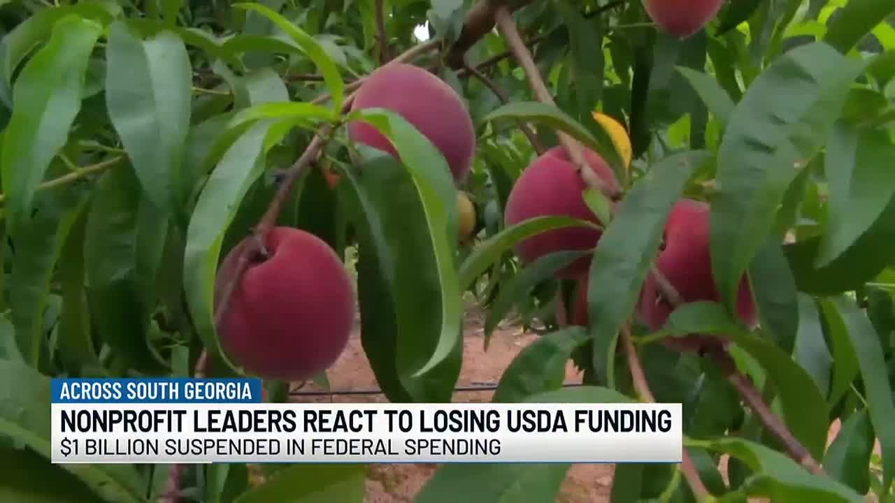 ‘It’s nerve-wracking’: South Georgia farmers and food banks react to losing USDA funding