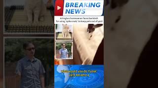 Arlington homeowner faces backlash for using 'spike mats' to keep pets out of yard#news #foryou