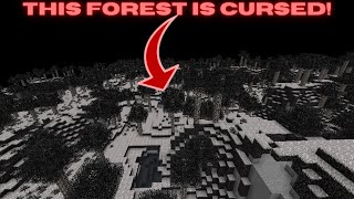 I Went To The Dark Forest In Minecraft