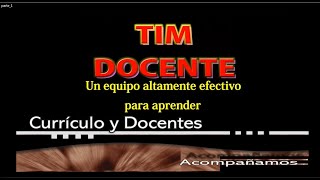 EQUIPO TIM Y DOCENTES