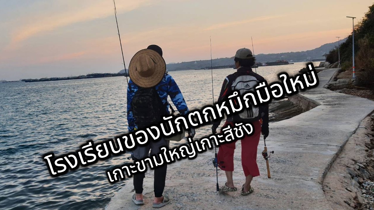 โรงเรียนนักตกหมึกมือใหม่,เกาะขามใหญ่,เกาะสีชัง