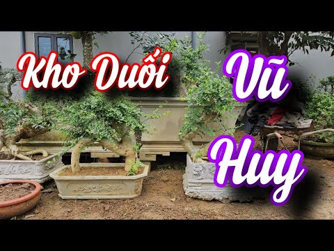 Kẻ Theo Đuổi Ánh Sáng - Huy Vạc x Tiến Nguyễn (Official MV)