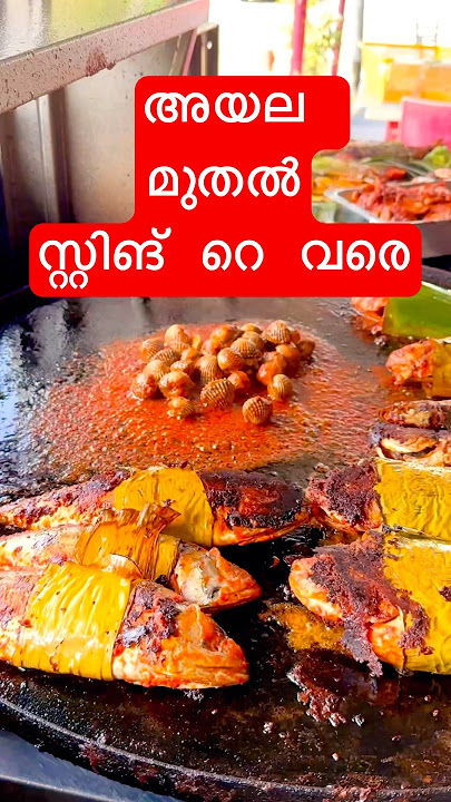 Grilled Fish in Kuala Lumpur #malaysiastreetfood #ikanbakar #kualalumpur #malayalam #travelvlog #KL