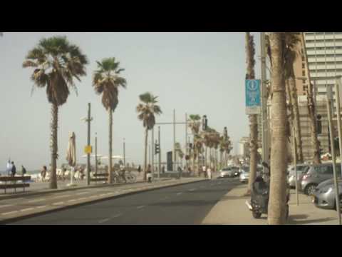 west coast - coconut records (music video)