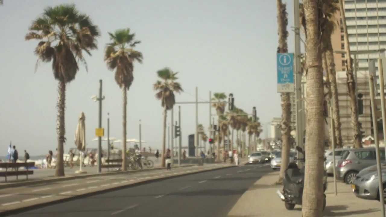 west coast - coconut records (music video)