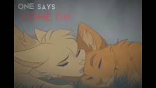 Warrior Cats / Firestar's Death