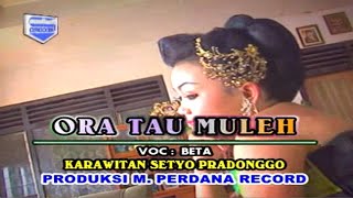 Beta - Ora Tau Mulih ( Musik Video)