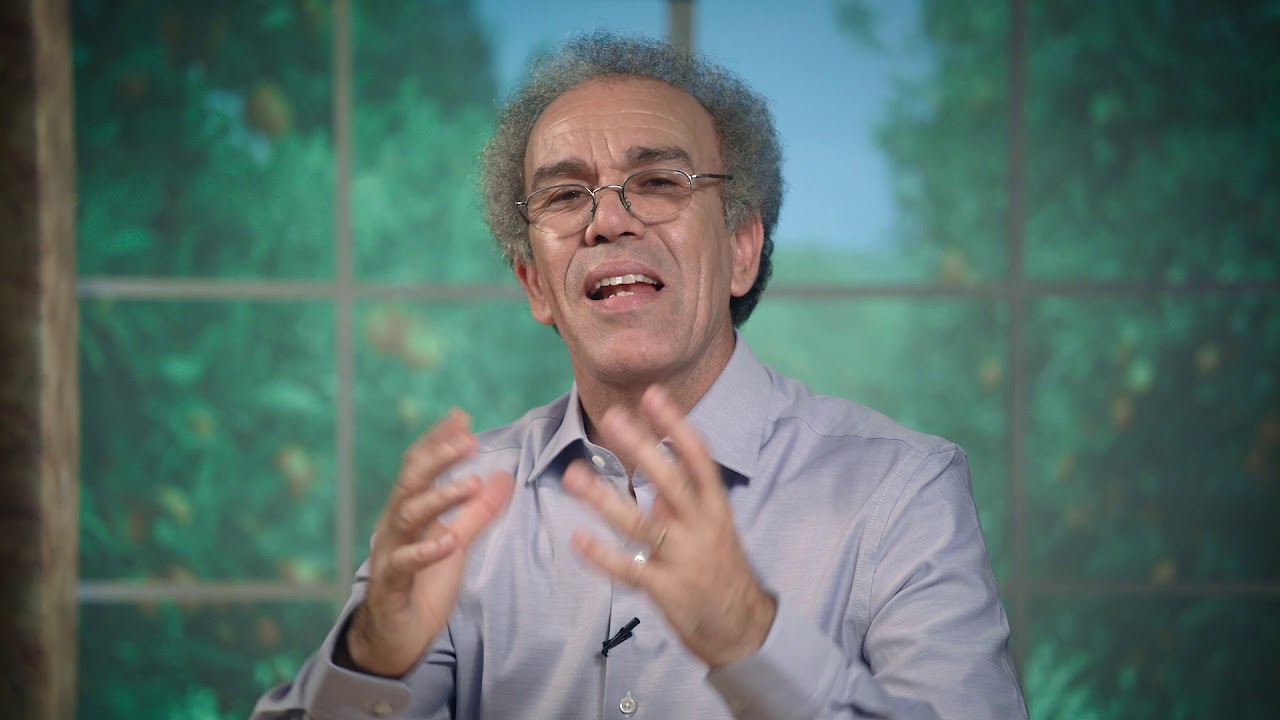 الحلقة الثامنة والعشرون | الفن  بين الذات والمجتمع