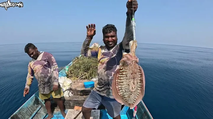Fishing With Huge Squid as bait to catch Something Bigger|Tasty Squid