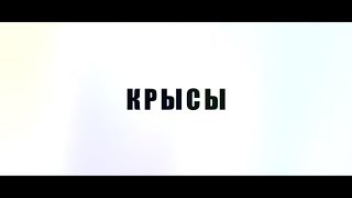 трэш-шапито КАЧ feat. Чика из Перми - Крысы (05.2013)