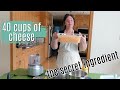 Shredding 40 cups of Cheese for Freezer Meals - the secret ingredient