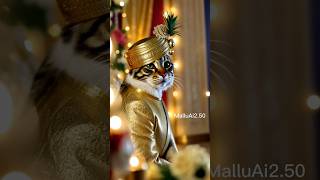 Poochandi weds Pathu#comedymalayalam #malayalamai #poochandi #trendingmalayalam