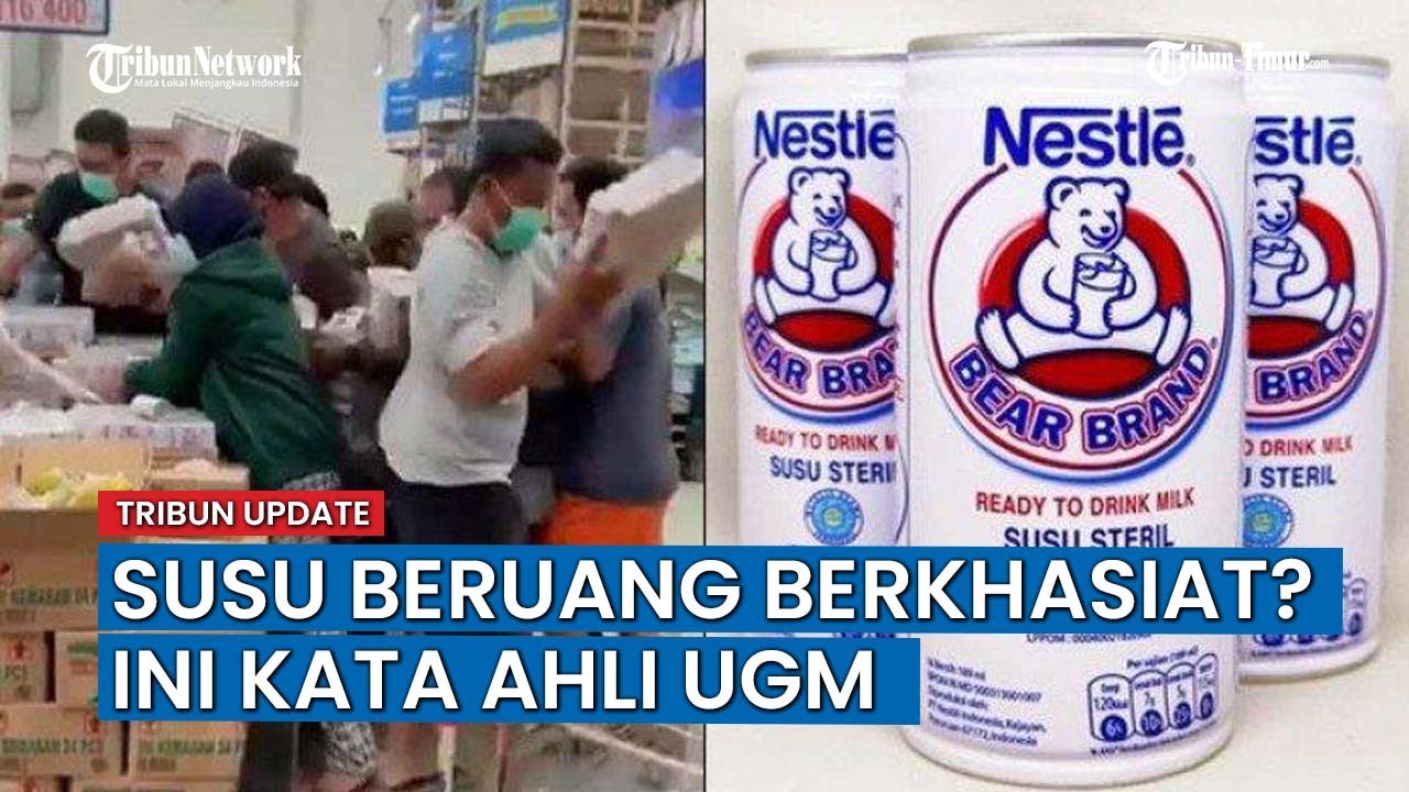 Ramai Berebut Bear Brand, Benarkah Susu Beruang Itu Berkhasiat? Ini