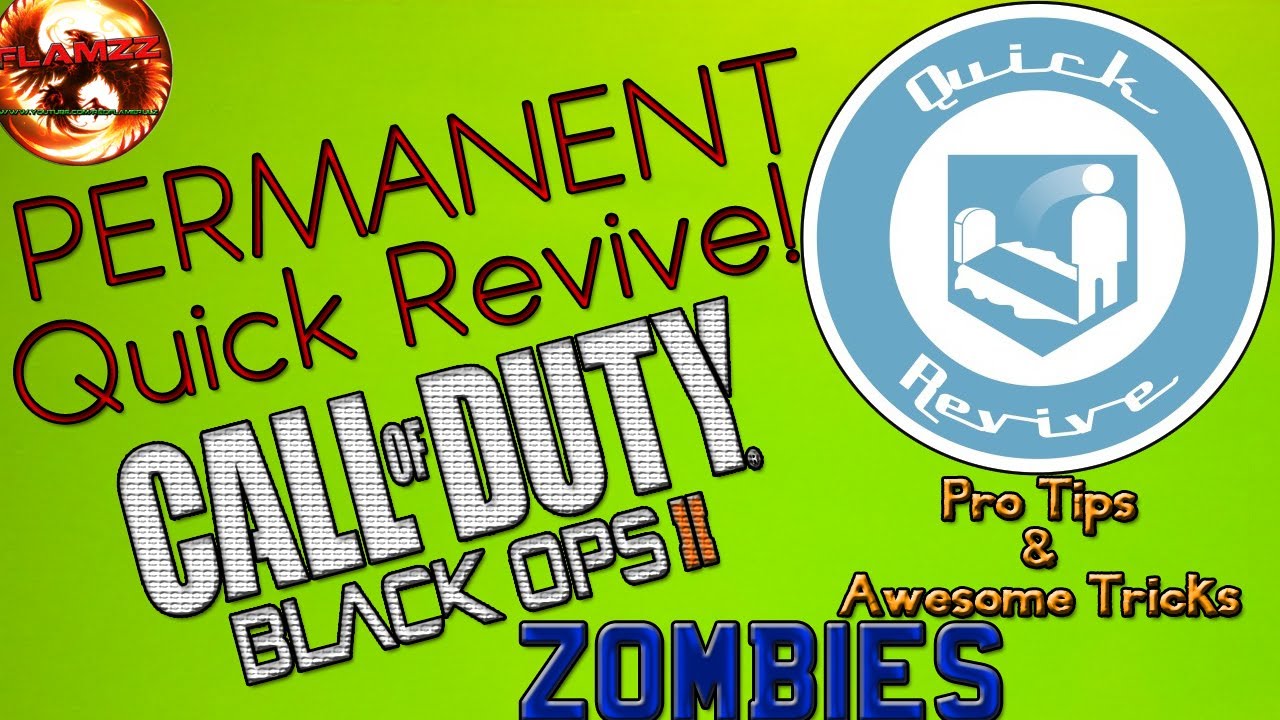 BO2 TranZit Zombies Pro Tips! Permanent Quick Revive !!! YouTube