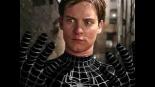 Fan Made Spidey 4 Piks