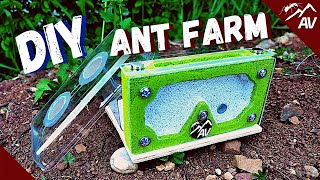 How to make a Formicarium | DIY Ant Farm for Pet Ant Colony