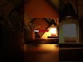 Americas #1 Infrared Sauna