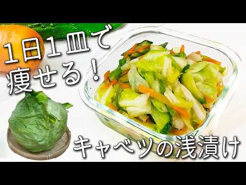【キャベツ 浅漬け】これ覚えたら一生もの! 切って漬けるだけで超簡単! 砂糖不使用☆ 春 キャベツ の浅漬け 簡単アレンジレシピ・保存法も紹介! 作り置き 常備菜