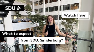 What can you expect from SDU Sønderbrog?