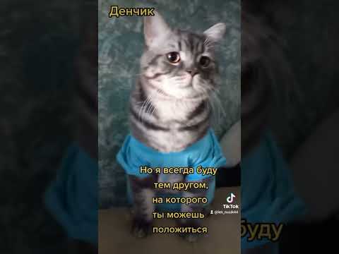 Война это страшно. Берегите себя и своих близких. #война #нетвойне #stopwar