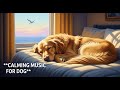 12 hours of Soothing Dog Music : Reduce Anxiety, Promote Relaxation &amp; Deep Sleep for Your Dog 😴