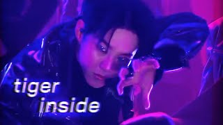 Hoshi 호시 Tiger Inside